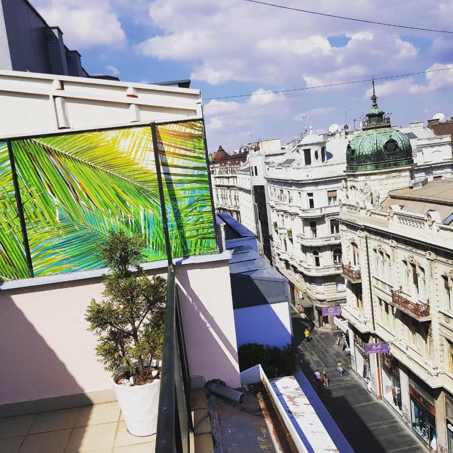 Apartament Jolie Belgrad Zewnętrze zdjęcie