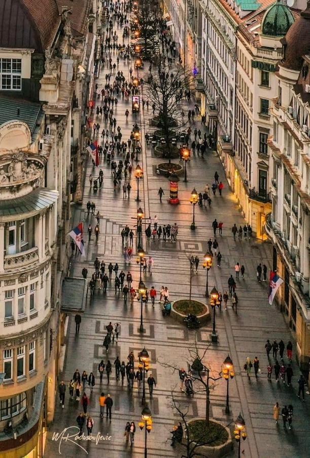 Apartament Jolie Belgrad Zewnętrze zdjęcie