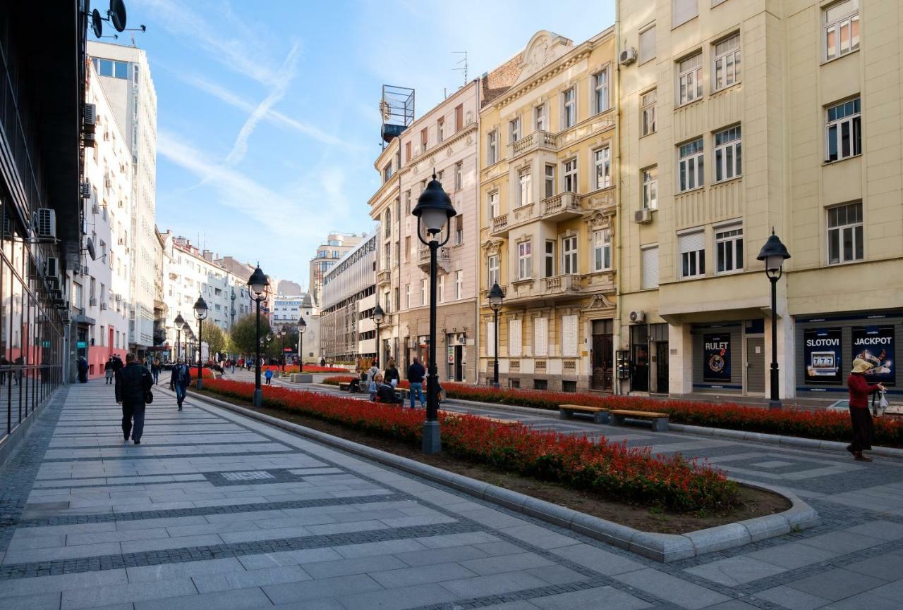 Apartament Jolie Belgrad Zewnętrze zdjęcie
