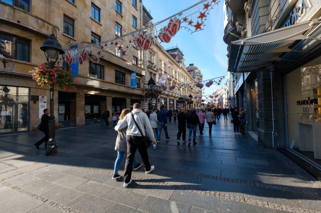 Apartament Jolie Belgrad Zewnętrze zdjęcie
