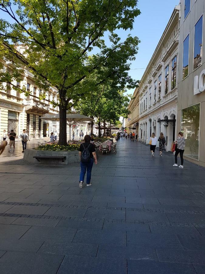 Apartament Jolie Belgrad Zewnętrze zdjęcie